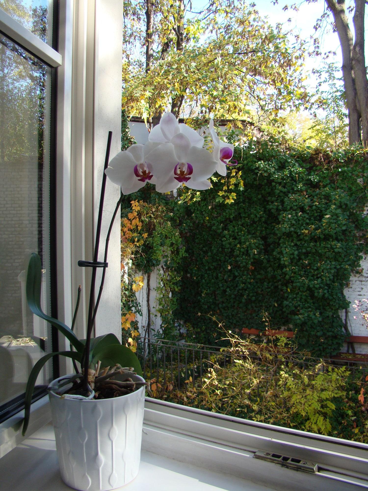 Boutique Hotel 16 Prague Ngoại thất bức ảnh