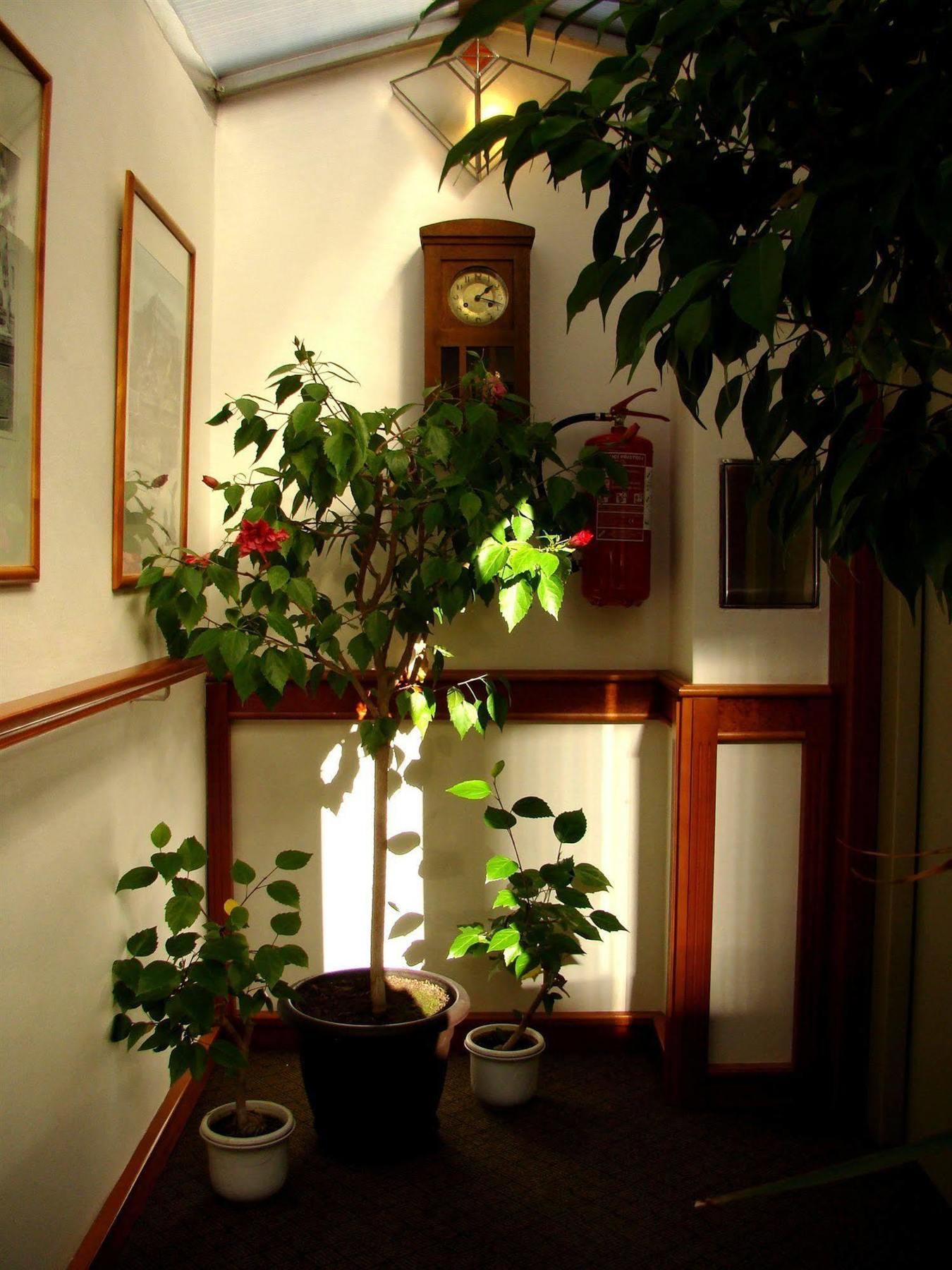 Boutique Hotel 16 Prague Ngoại thất bức ảnh
